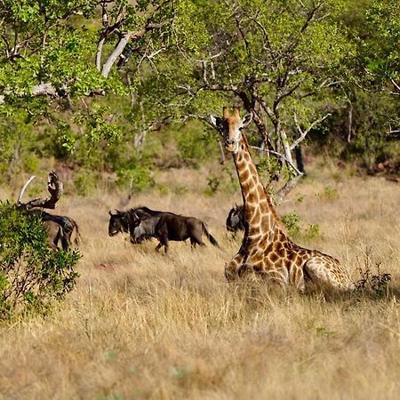 Waterberg Game Lodge بيلا-بيلا المظهر الخارجي الصورة